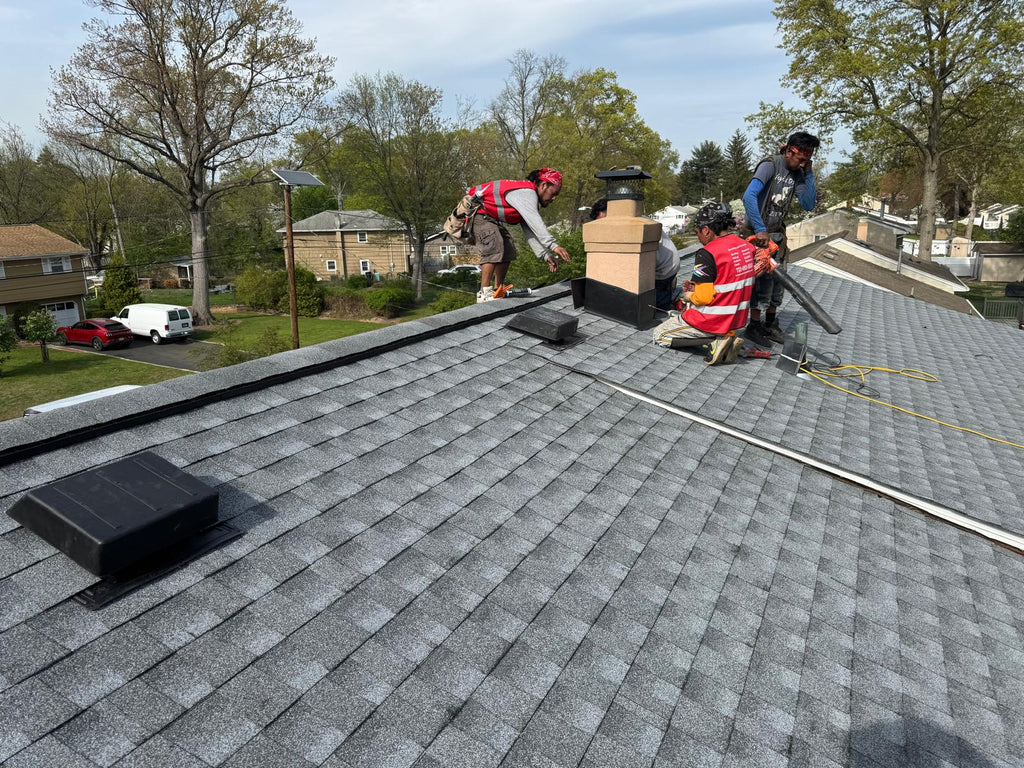 Servicio de Techado Profesional